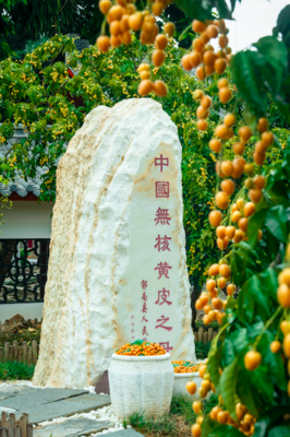 云浮市郁南縣委書記梁世軍:做強優(yōu)勢做精特色,闖出特色農業(yè)大縣鄉(xiāng)村振興新路