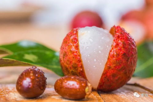 水果界的內(nèi)卷王,卷輸了的是弟弟