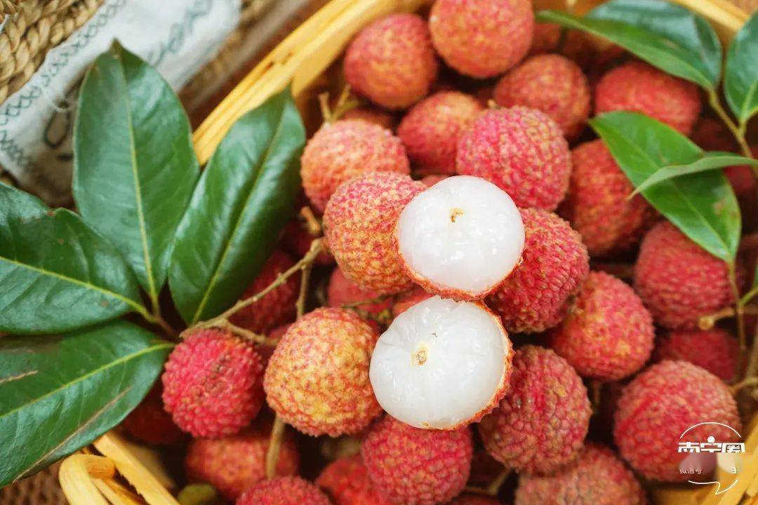 百年老樹現(xiàn)摘直發(fā)!靈山桂味,無核荔枝,爆汁清甜等你來嘗!一般超市買不