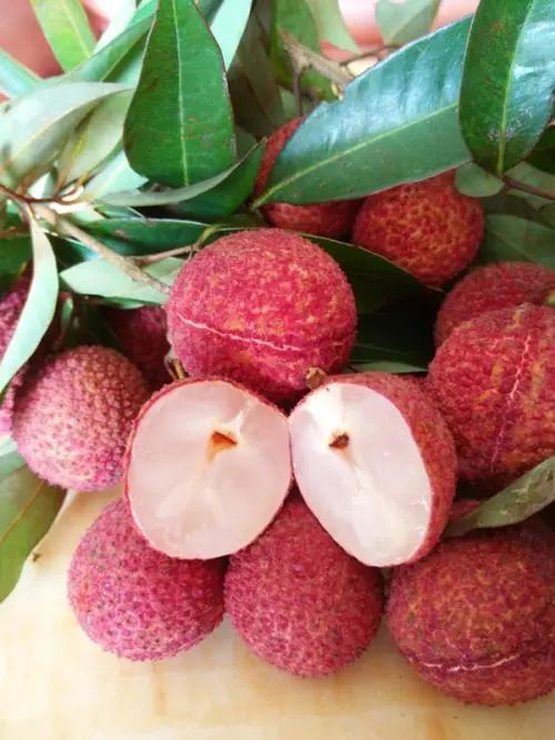 進入吃荔枝的季節(jié),想起這位老人