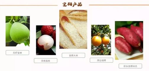 海南再傳佳音！無核荔枝之鄉(xiāng)榮膺“中國最美休閑度假勝地”